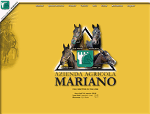 Tablet Screenshot of mariano.it